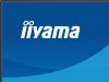 IIYAMA Monitor 27 cali XB2793QSU-B1 IPS, QHD, HDMI, DP, 2xUSB